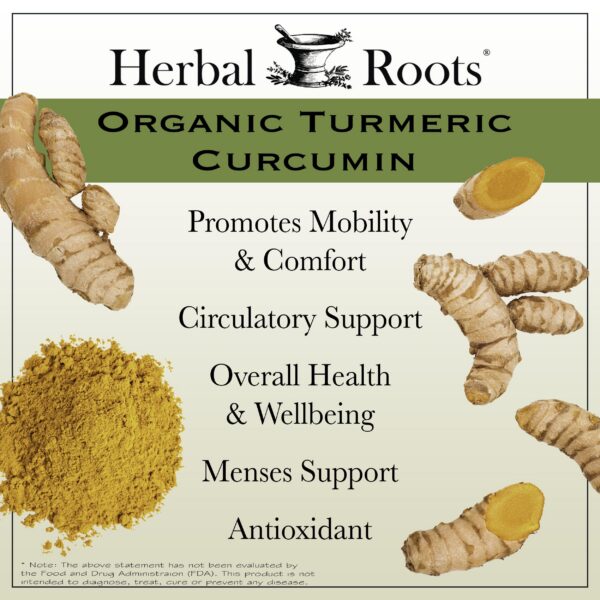 Herbal Roots suplemento cúrcuma extracto curcumina 95%