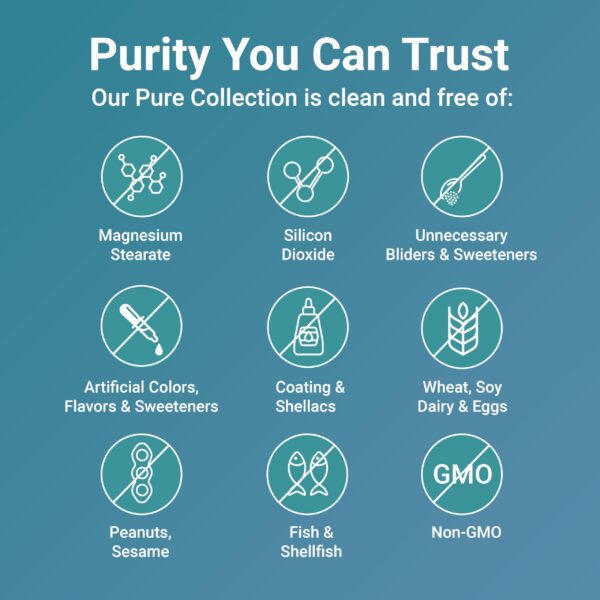 Suplemento cúrcuma con jengibre y propóleo Micro Ingredients