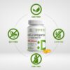 Version 1.0.0 Suplemento DEAL SUPPLEMENT con carvacrol y timoquinona activos naturales