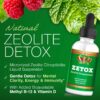 Version 1.0.0 Suplemento detox ZETOX con vitamina B12 metilada y vitamina D3