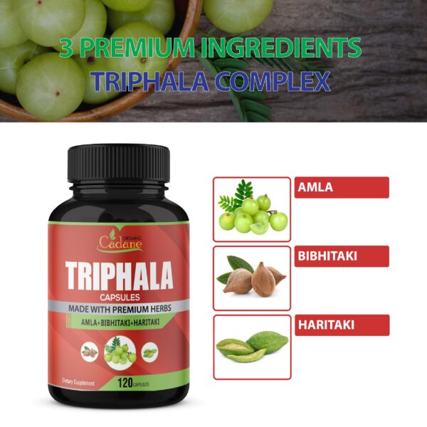 suplemento digestión y sistema inmune certificado gmp iso