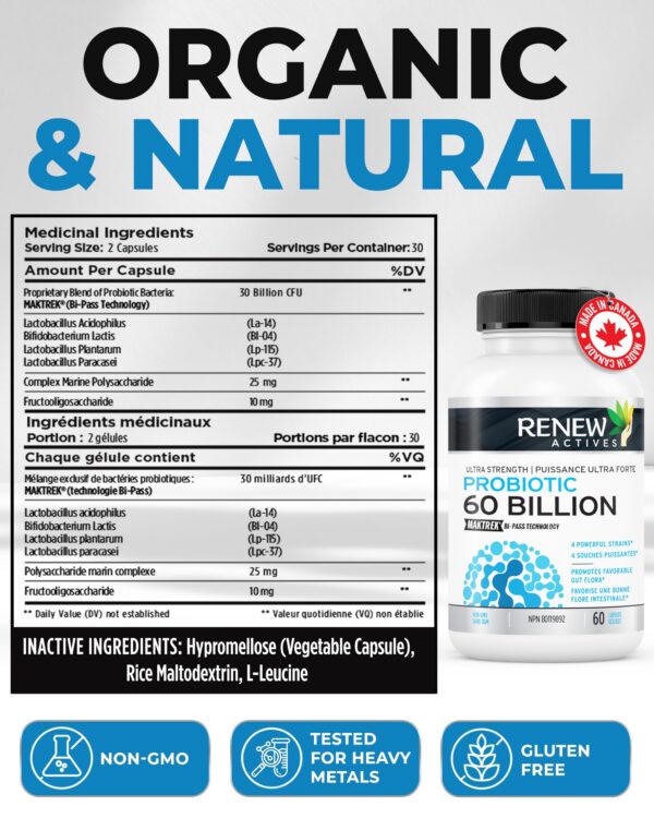 Suplemento digestivo Renew Actives 60 cápsulas salud gastrointestinal