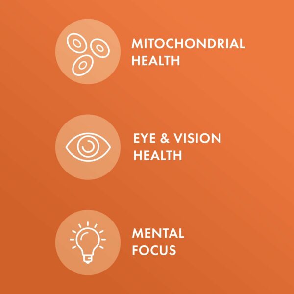 Suplemento Dr. Mercola cúrcuma extracto orgánico