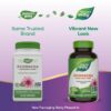 Frasco suplemento Echinacea Purpurea Nature's Way 1200 mg vegano