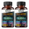 Suplemento Efioist Sea Moss 15 en 1 120 cápsulas verde oliva