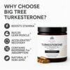 Suplemento energético BIG TREE HERBALS con Turkesterone y Tongkat Ali