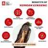 Suplemento energético ginseng rojo CheongKwanJang 120g