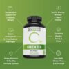 Suplemento para energía estable sin nervios Zhou Nutrition