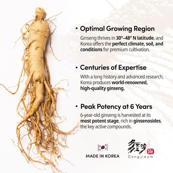 Suplemento para enfoque y resiliencia al estrés con ginsenósidos