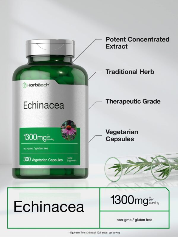 Suplemento de equinácea Horbäach cápsulas 1300 mg