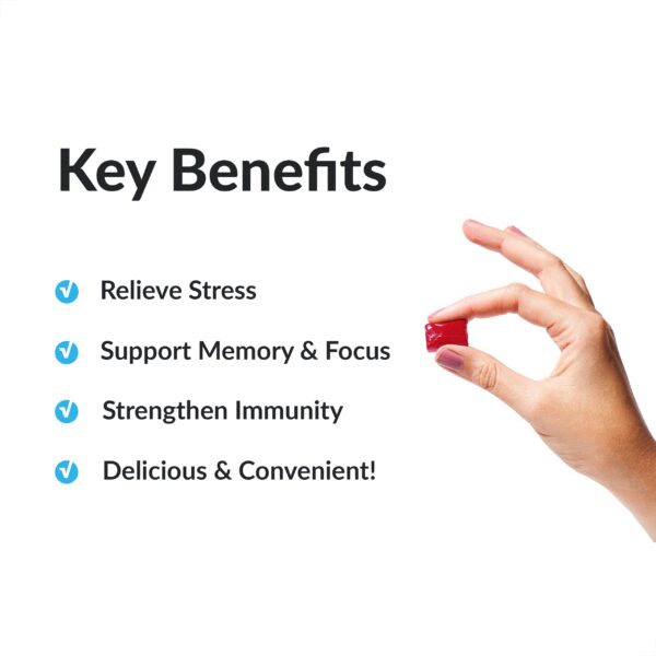 Suplemento para estrés y concentración Amazing Ashwa Force Factor