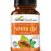 Suplemento extracto hoja papaya para soporte sanguíneo e inmunidad
