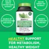 Suplemento extracto de té verde con café verde Zenwise 60 caps