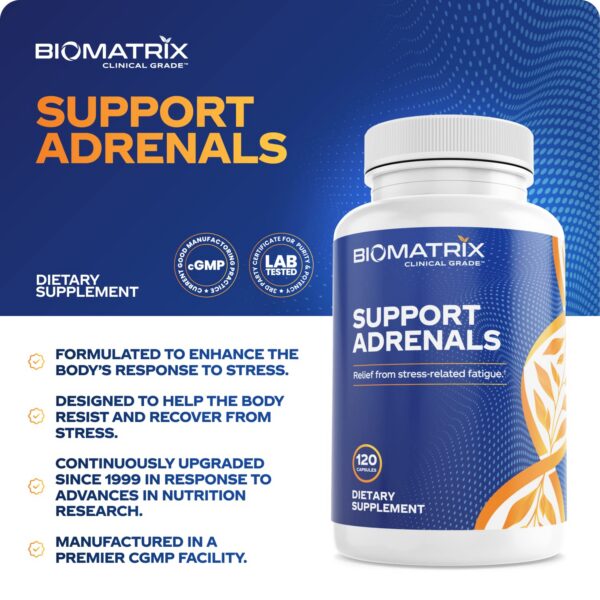 Version 1.0.0 Suplemento Fatiga Suprarrenal, compuesto Bioflavonoides y adaptógenos