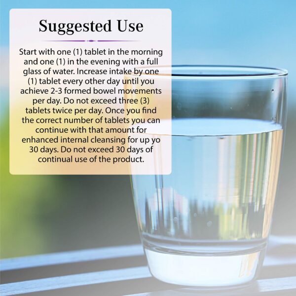 Version 1.0.0 Fórmula con fibra y probióticos para salud intestinal