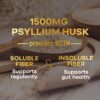 Version 1.0.0 Suplemento fibra natural Psyllium Husk 180 cápsulas veganas