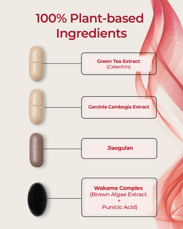 Suplemento FOODOLOGY Burningology ingredientes naturales