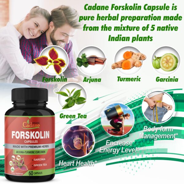 Suplemento Forskolin Organic Cadane para energía y salud
