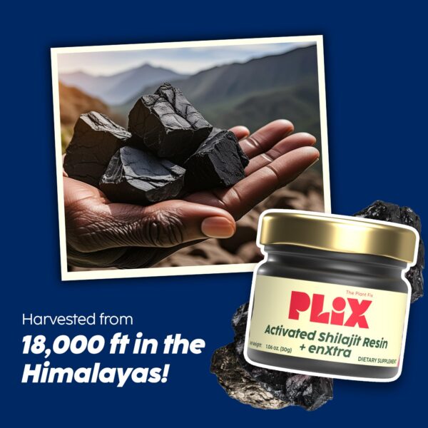 Suplemento natural para fuerza y claridad mental con Shilajit