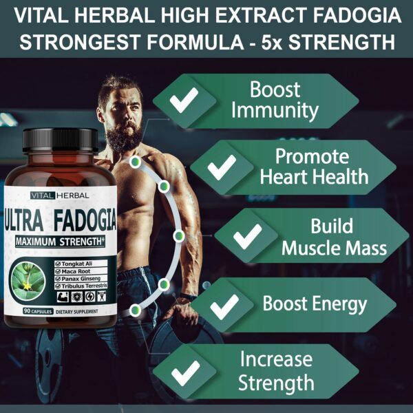 Suplemento natural para fuerza y masa muscular Vital Herbal