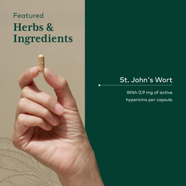 Suplemento Gaia Herbs para apoyo del sistema nervioso