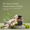 Suplemento Gaia Herbs cápsulas veganas para sueño natural