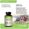 Suplemento Garcinia Cambogia NatureWise para metas saludables de peso