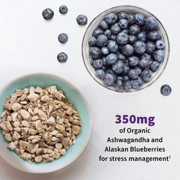 Suplemento Garden of Life con Ashwagandha y arándano azul para estrés