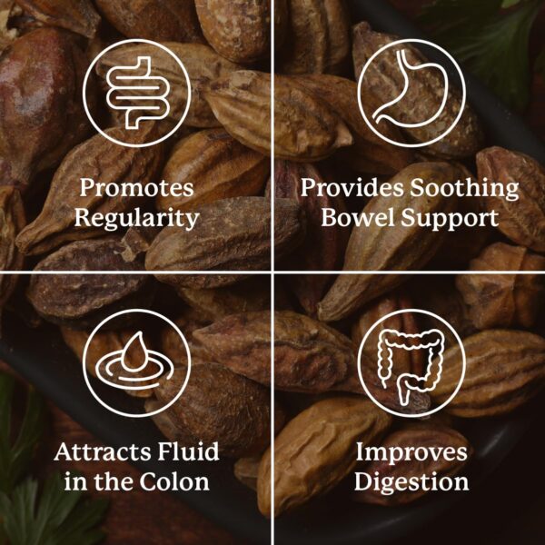 Version 1.0.0 Suplemento Gentle Move en cápsulas