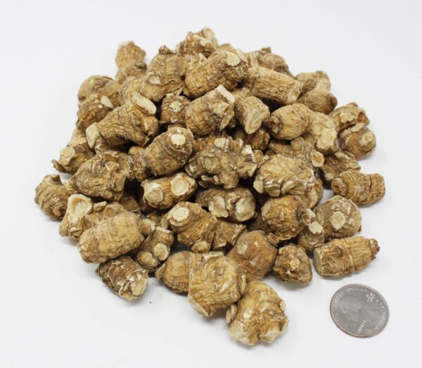 Version 1.0.0 Suplemento Ginseng Americano para energía y concentración