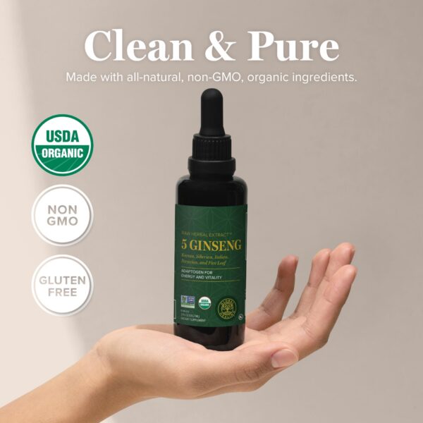 Suplemento de ginseng Panax orgánico y natural