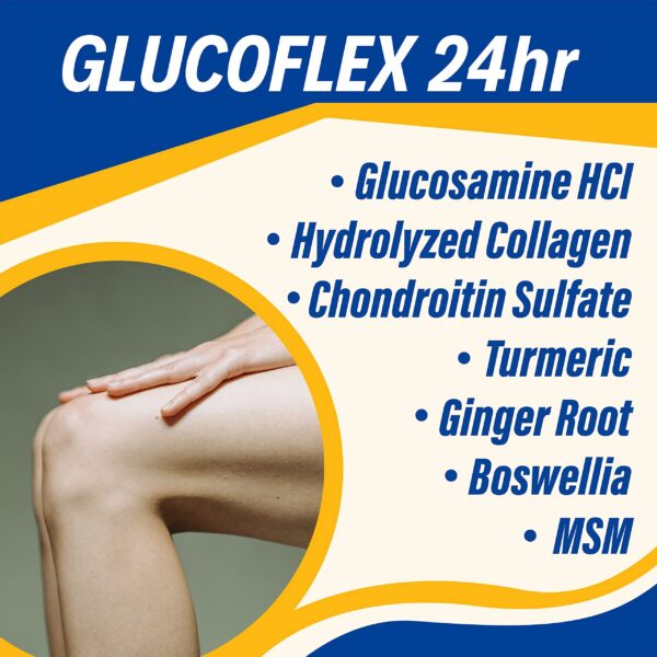Version 1.0.0 Suplemento Glucoflex con MSM y condroitina