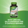 Suplemento Glucomanano no GMO Nature's Way 100 unidades