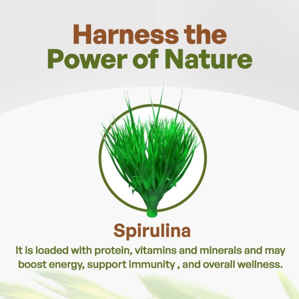 Suplemento Go Nutra espirulina con proteínas y antioxidantes
