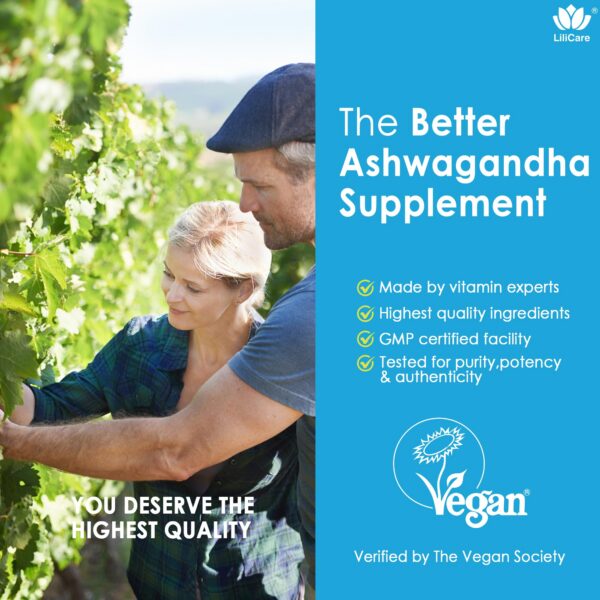 Version 1.0.0 Gominolas veganas de Ashwagandha sin azúcar