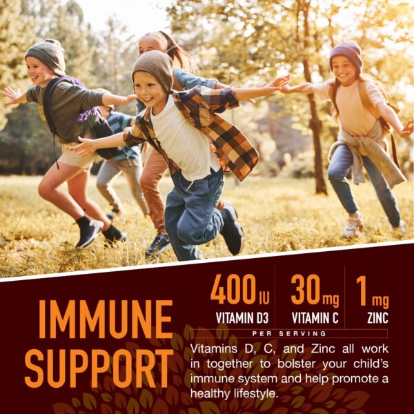 Suplemento gomitas infantiles vitamina c d3 y zinc