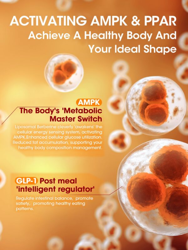 Suplemento GREENPEOL berberina y canela de Ceilán alta absorción