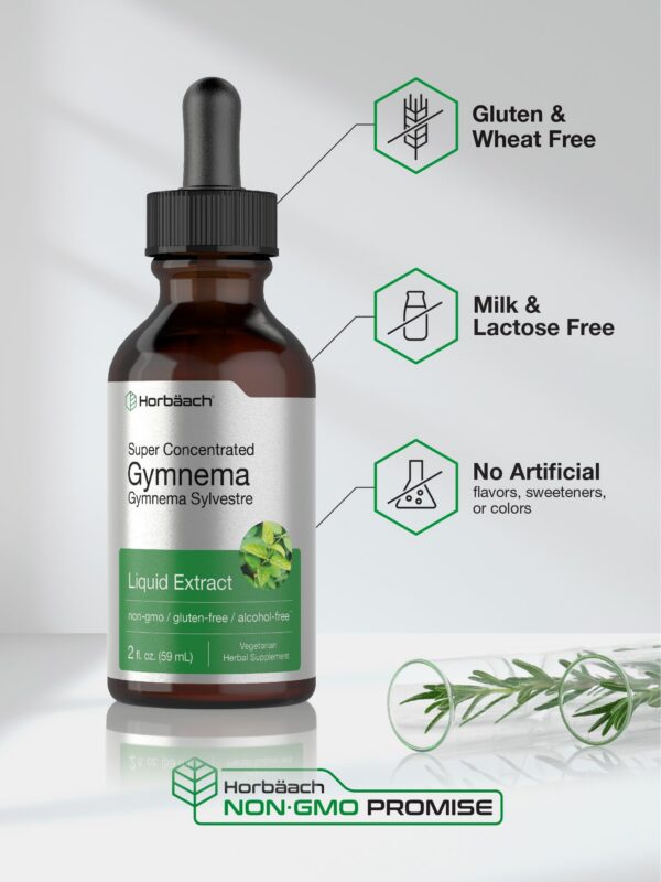Version 1.0.0 Suplemento gymnema sylvestre extracto sin gluten y sin ogm