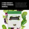 Suplemento Healthy Possible SuperGreens ingredientes naturales
