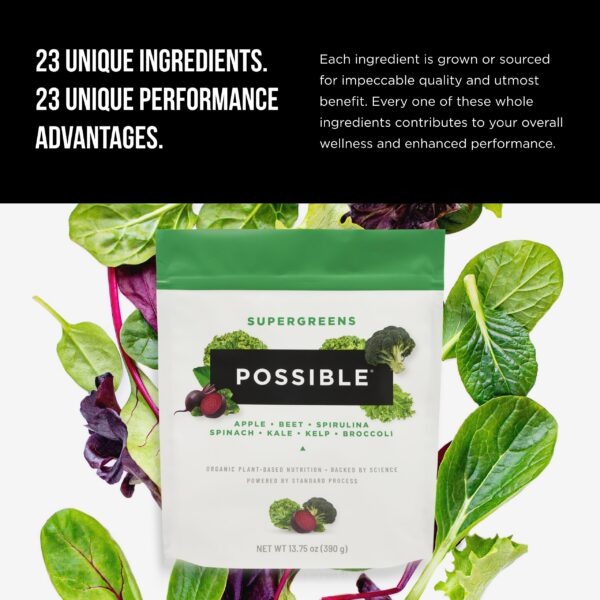Suplemento Healthy Possible SuperGreens ingredientes naturales