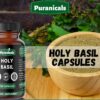 Suplemento herbal en cápsulas albahaca sagrada premium