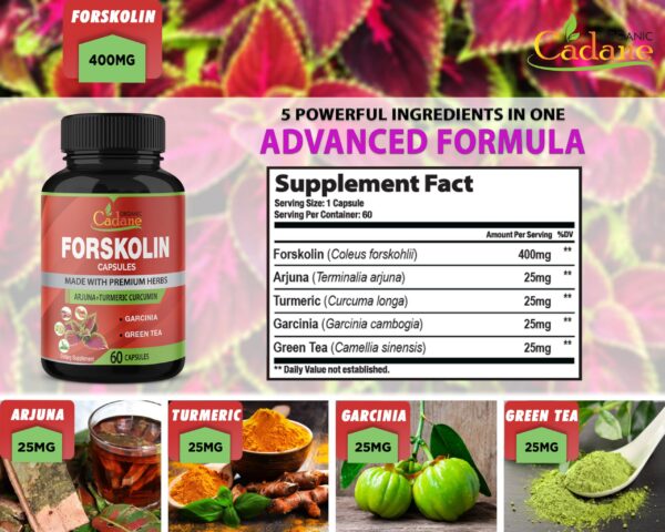 Suplemento herbal en cápsulas forskolina garcinia cambogia
