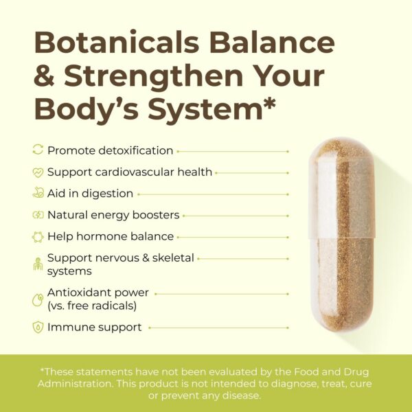 Suplemento herbal en cápsulas Intra para desintoxicación y energía