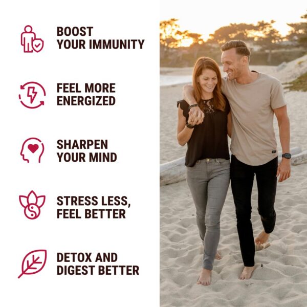 Suplemento herbal gomitas 120 veganas KJHD