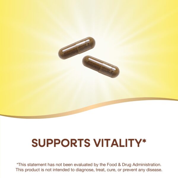 Version 1.0.0 Suplemento herbal gotu kola para salud y energía