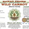 Suplemento herbal Hawaii Pharm extracto zanahoria silvestre natural