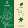 Suplemento herbal orgánico neem para piel e inmunidad