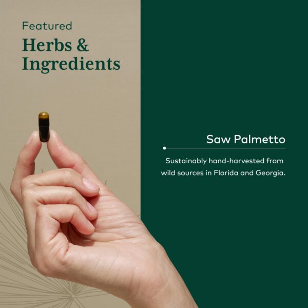 Suplemento herbal Saw Palmetto Gaia Herbs 60 dosis para próstata