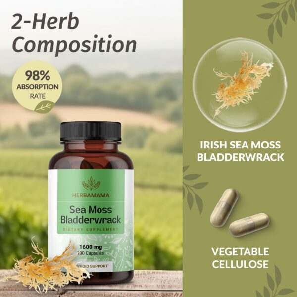 Suplemento HERBAMAMA libre de OGM y sin gluten musgo marino