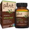 Suplemento hoja de olivo plnt 60 cápsulas vegetarianas salud inmune
